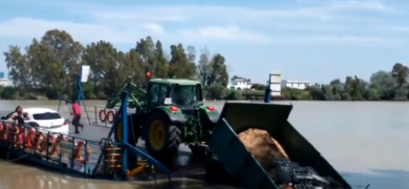 Videó: küzd a traktoros, de végül a folyóba csúszik a kompról