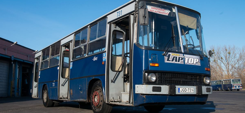 Busz méretű dinoszauruszt találtak Egyiptomban