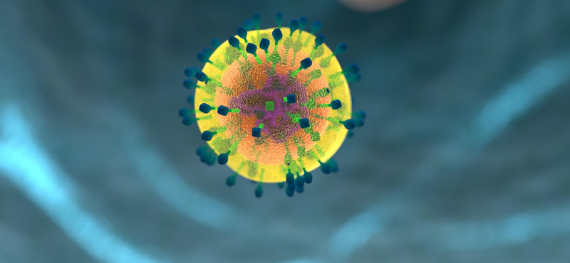 23 új koronavírus-fertőzött van az országban