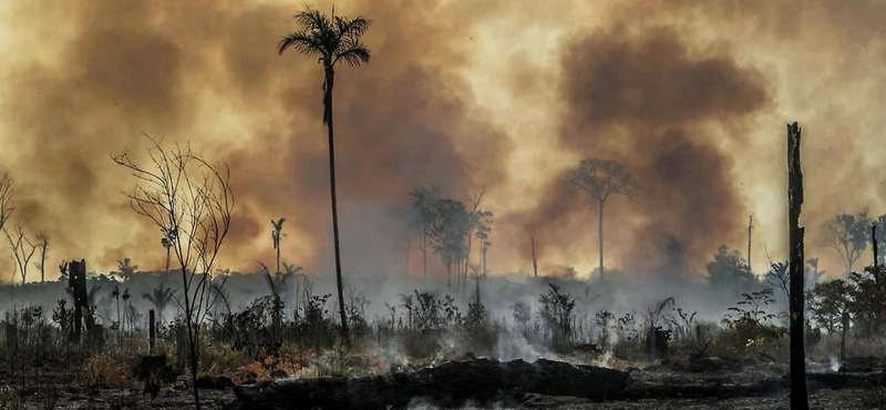 Megugrott a hőmérséklet az Amazonas-medencében, és ez mindent borít