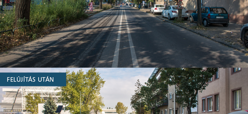 Büszkén reklámozza a BKK, hogy kivágtak egy fasort a Népfürdő utcában