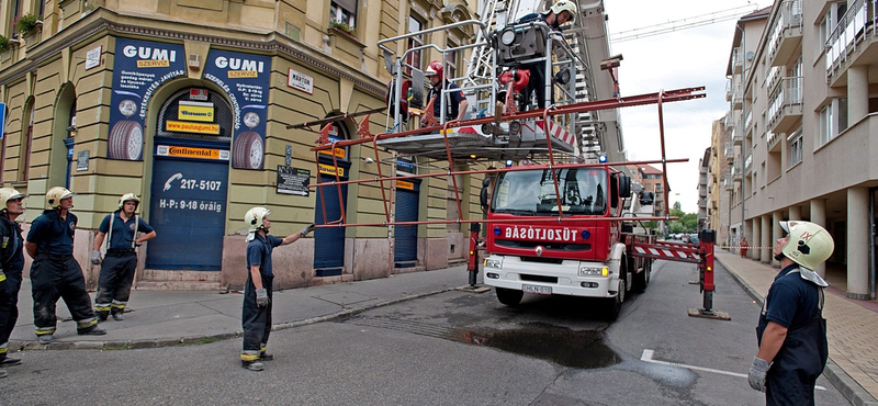 Fák dőltek ki az éjjeli viharban Budapesten