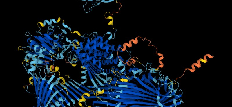 Összeállt egy új „univerzum”: 200 millió fehérje szerkezetéről adott információt a mesterséges intelligencia