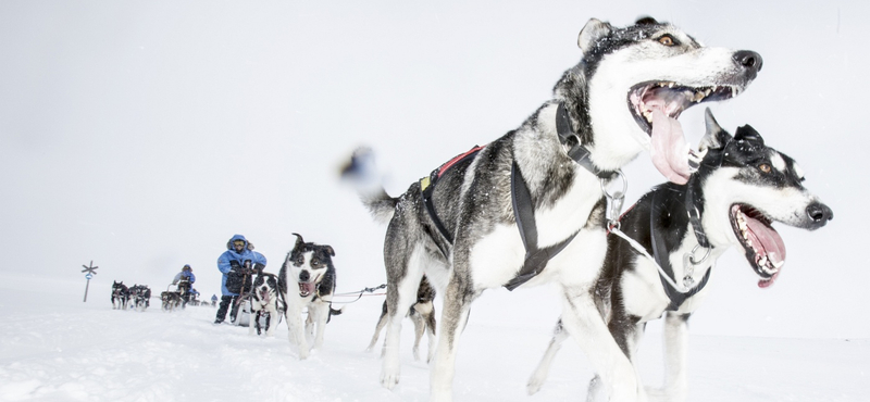 "Fantasztikus, milyen kevés elég a boldogsághoz"