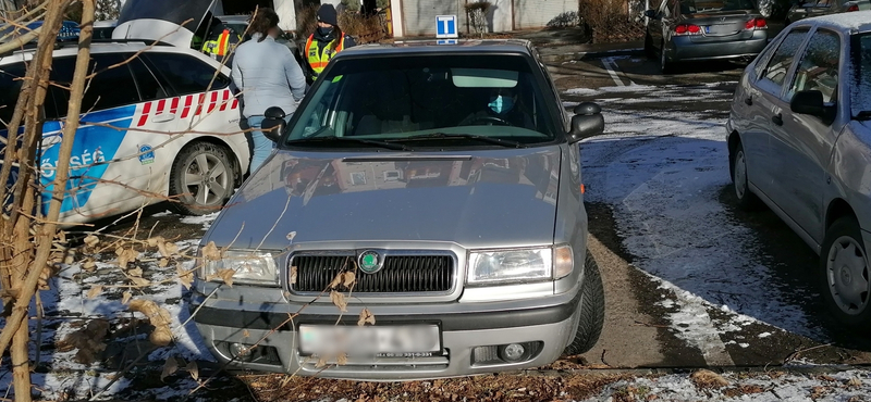 Autósoktatónak adta ki magát egy nő Békásmegyeren, munka közben kapták el a rendőrök