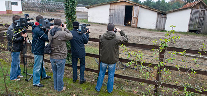 Életfogytiglant kapott a brutális tompai gyilkos