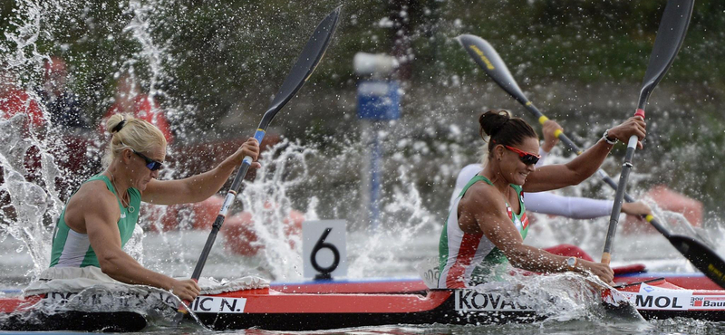 Pénz van, tervező nincs a Hajógyári-szigeten építendő sportakadémiához