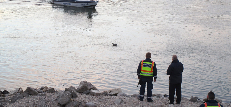 Bombát talált a Duna-parton egyik olvasónk – fotók