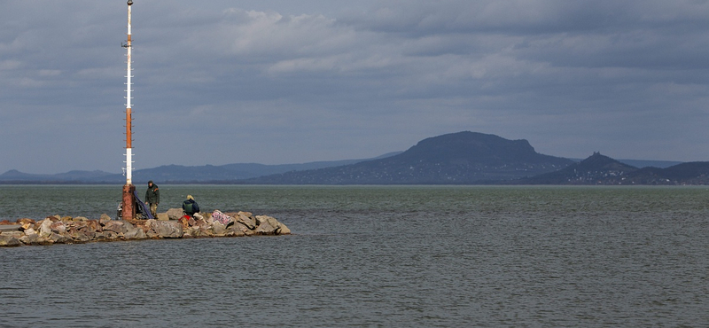 MTA: Nagyon tiszta a Balaton vize, kevés a szúnyog és az alga is