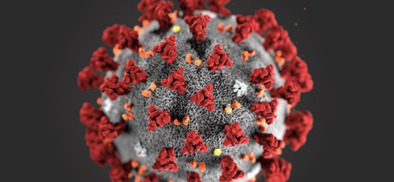 Öt újabb koronavírus-fertőzött, három halott