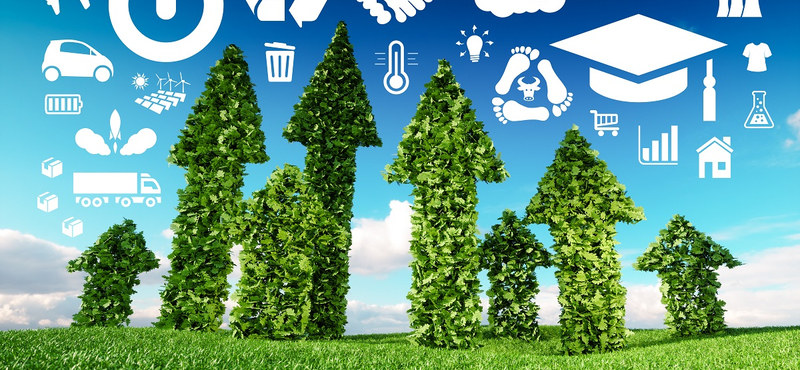 Megvalósított vállalati fenntarthatóság: amikor nem csak a köd zöld