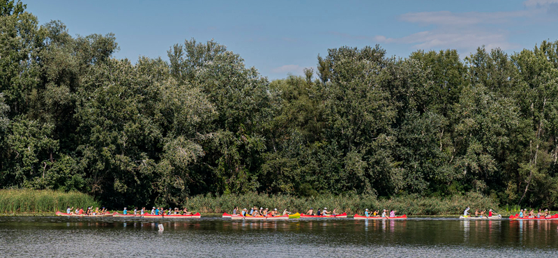 56 ezer kiló idegenhonos halat emeltek ki a Tisza-tóból