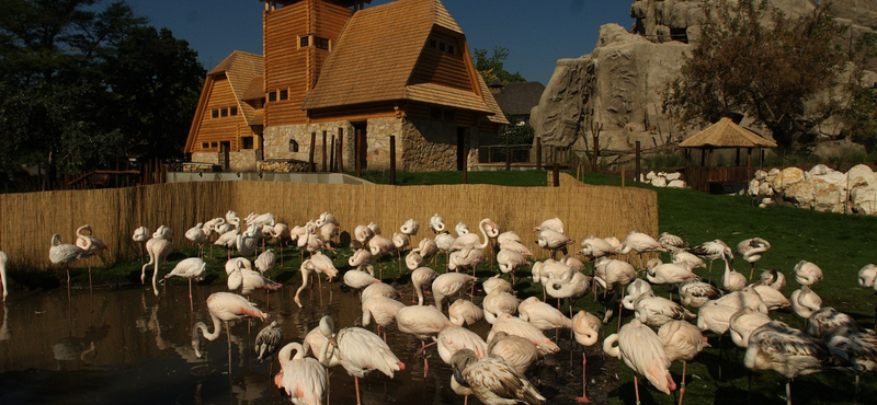 A fővárosi állatkert és vidámpark