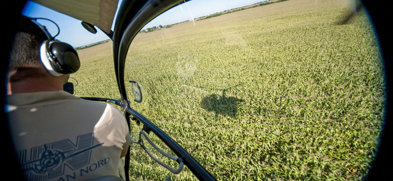 Helikopterről minden rendben, lent kétmillióan szenvednek a parlagfűtől