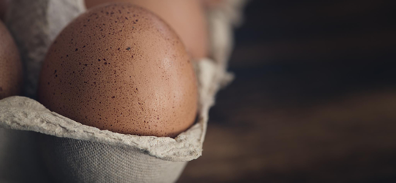 Megakadályozták a termelők, hogy megépüljön az ország legnagyobb tojótyúkfarmja