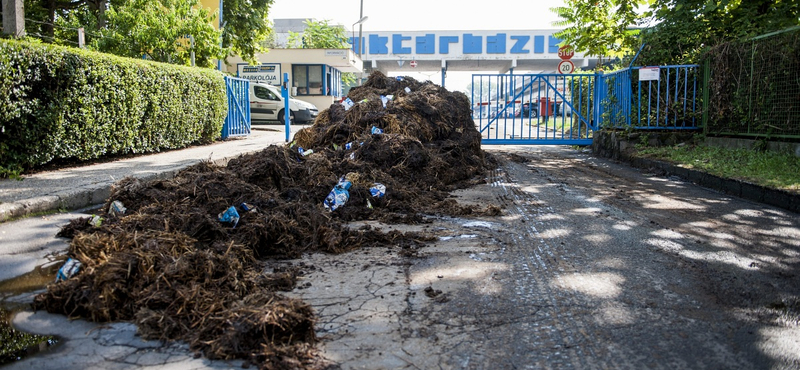 Prüszkölnek a magyar tejtermelők az importtej miatt