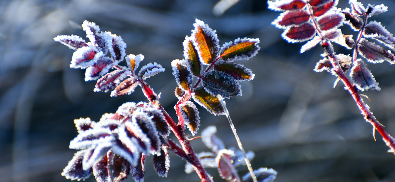 A múlt éjjel volt a leghidegebb a télen, -25,7 fokot mértek a Bükkben