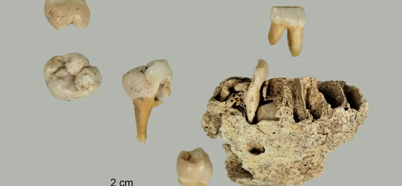 12 000 éves fogakat találtak Németországban