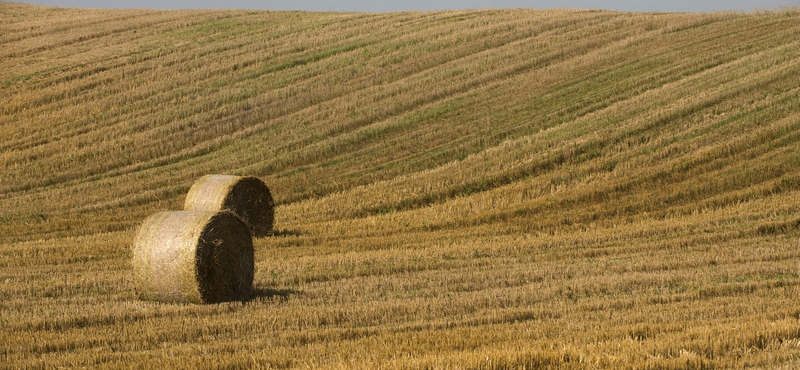 Szétlopják a mezőgazdaságra szánt pénzeket?