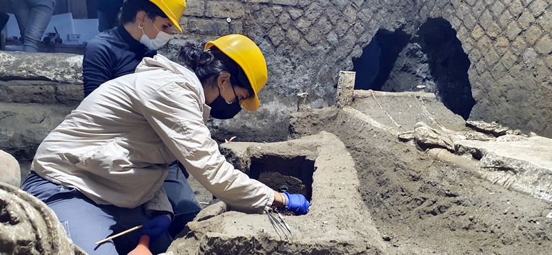 Teknősbéka maradványára bukkantak Pompejiben, egy tojás is volt már benne