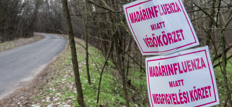 Vége a madárinfluenza miatti korlátozásoknak