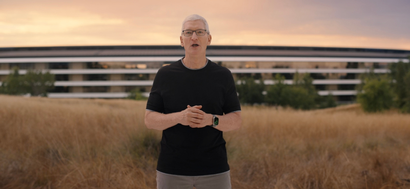 Nekimegy az Apple az Európai Unió döntésének, 201 milliárd a tét