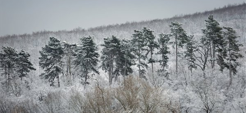 Éjszaka újabb havazás jön, elsősorban északon alakulhat ki hótakaró – térkép