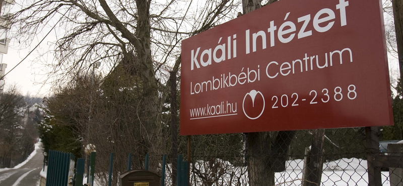 Politikai utasításra szorítják ki Debrecenből a Kaáli Intézetet