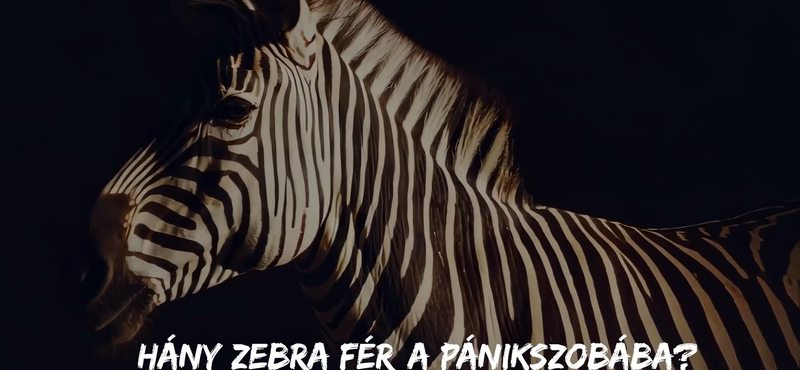 „A császár új ruhája csíkos lesz nemsokára” – Szókimondó dallal kritizálják a NER-t