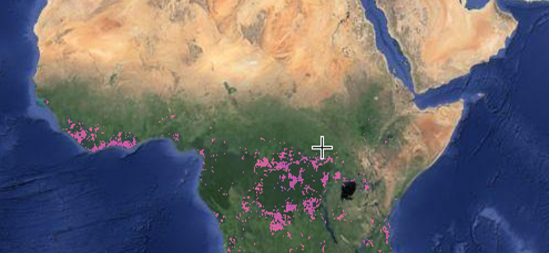 Sokkoló interaktív térképeket készítettek az erdővédők