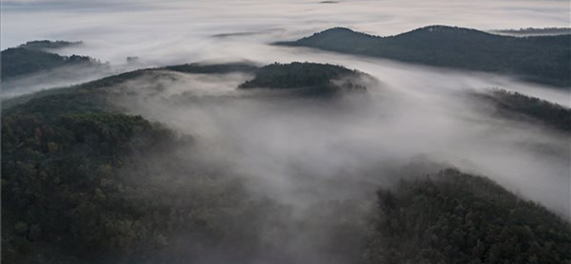 Megérkezett a novemberi idő – sűrű ködre figyelmeztetnek a meteorológusok