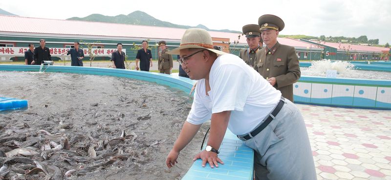 Kim Dzsong Un most egy harcsafarmot vizsgált meg