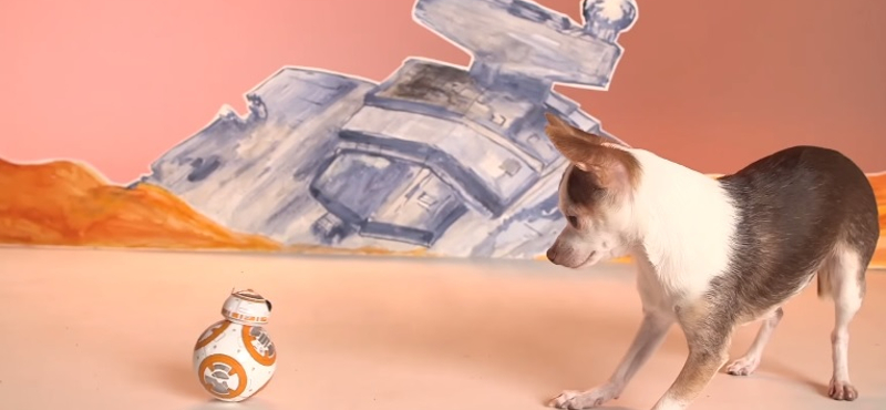 Videó: Kiskutyák kergetik meg a Star Wars 7 robotját