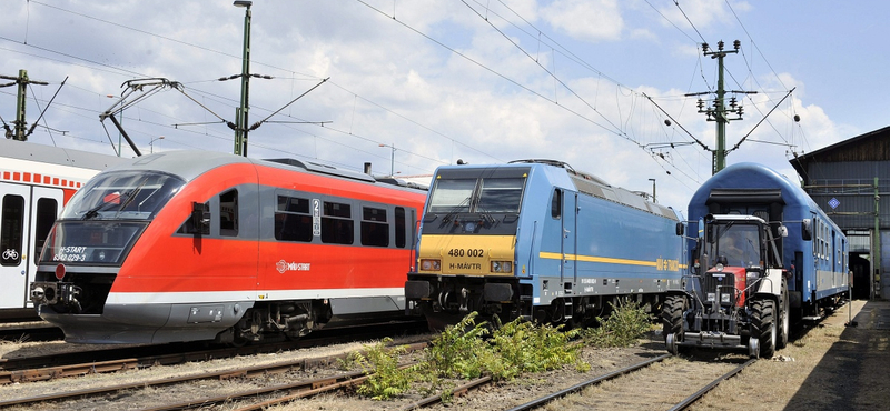 Gond van a Desirókkal a Balatonnál