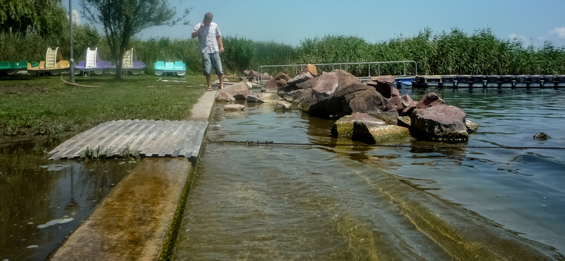 Lehet a Balaton vizén vaddisznóra vadászni? A kormányhivatal szerint igen