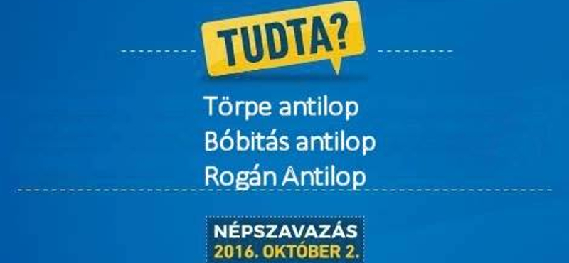 Juhász Péter: A vasárnapi mozgósítás a Fidesz legnagyobb hadgyakorlata