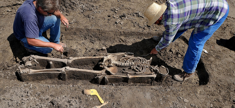 A Homo sapienshez közel álló fajokkal is szaporodtak őseink