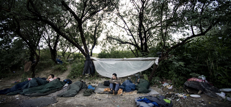 Szakértő az M1-en: Nem akadályozzák a szerbek a migránsok beáramlását