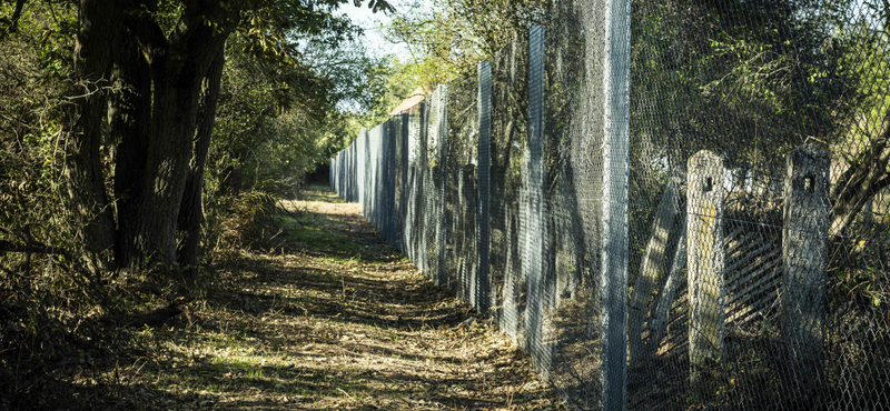 Drótkerítés, rendőrautók és tábori ágyak: 5 milliárdot szántak volna menekülttáborra Vitnyéden