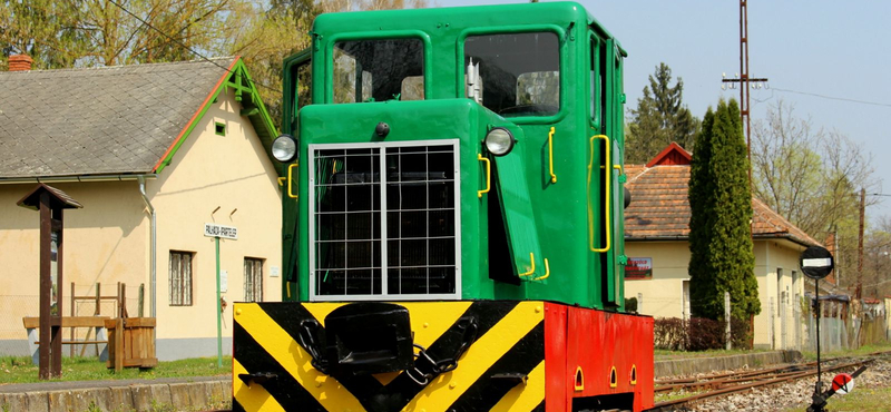 Az erdőbe küldtek több mint 500 közmunkást