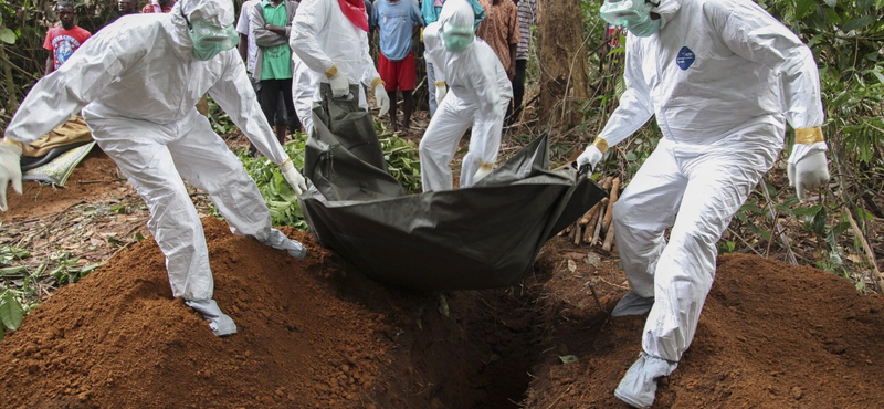 Ebola: több mint 700 ember megfigyelés alatt egyik szomszédunknál