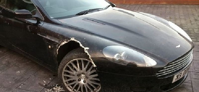 Kutya rágott szét egy Aston Martin DB9-est – fotó