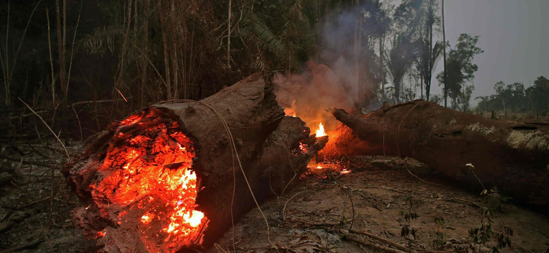 Nem értenek egyet elnökükkel a brazil katolikusok a klímakrízissel kapcsolatban