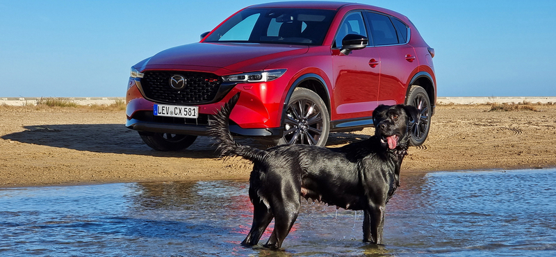 Bőven van élet a villanyautókon túl: 6 hengerrel és új szuper dízelmotorral támad a Mazda