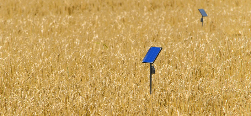 Tíz éve nem volt ilyen drága az élelmiszer a világban, mint most