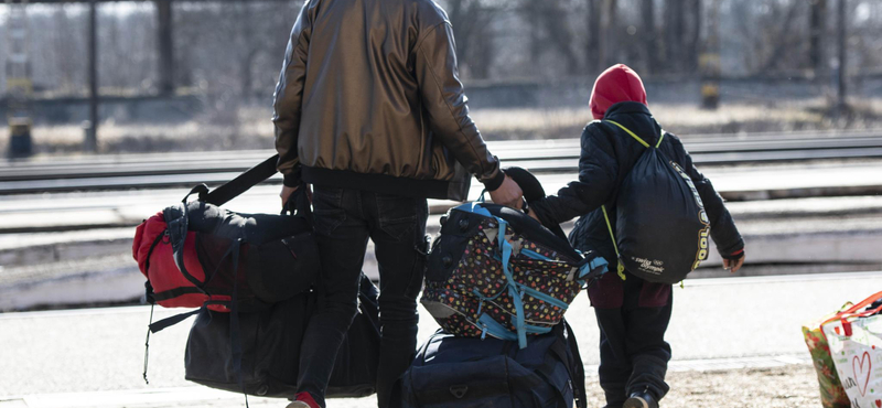 Azt találgatják, miért csak minden ötödik ukrán menekült dolgozik Németországban
