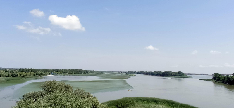 Átszállás nélkül el lehet menni a Tisza-tóig vonattal