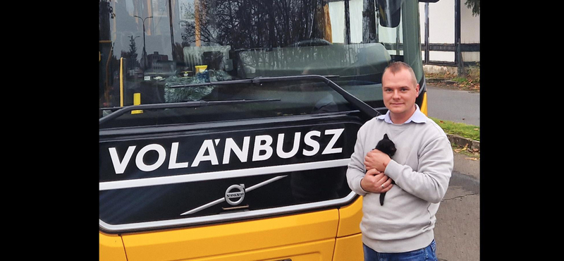 Kismacskát mentett Gyula sofőr egy busz padlója alól, 300 kilométert utazott a cica