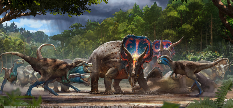 Összefonódott dinoszaurusz-csontvázakat mutat be egy amerikai múzeum