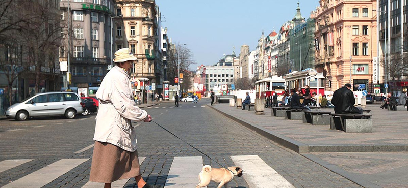 Visszafordítható lehet az időskori memóriaromlás